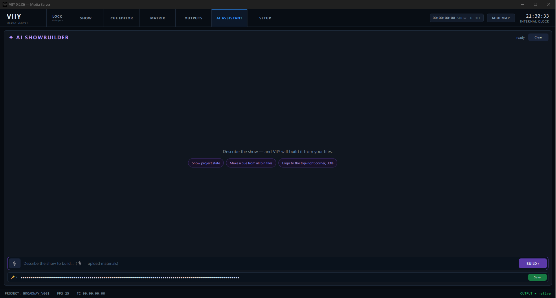 The API key control at the bottom of the AI ASSISTANT tab